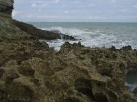 F, Seine-Maritime, Etretat 7, Saxifraga-Willem van Kruijsbergen