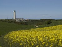 F, Seine-Maritime, Etretat, Cap d Antifer 4, Saxifraga-Willem van Kruijsbergen