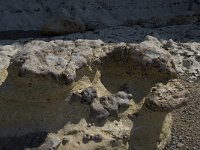 F, Seine-Maritime, Etretat, Plage d Antifer 11, Saxifraga-Willem van Kruijsbergen