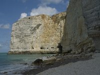 F, Seine-Maritime, Etretat, Pointe de la Courtine 13, Saxifraga-Willem van Kruijsbergen