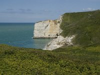 F, Seine-Maritime, Etretat, Pointe de la Courtine 21, Saxifraga-Willem van Kruijsbergen