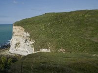 F, Seine-Maritime, Etretat, Pointe du Fourquet 1, Saxifraga-Willem van Kruijsbergen