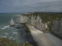 F, Seine-Maritime, Etretat, Porte d Aval 11, Saxifraga-Willem van Kruijsbergen