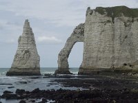 F, Seine-Maritime, Etretat, Porte d Aval 15, Saxifraga-Willem van Kruijsbergen