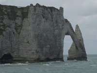 F, Seine-Maritime, Etretat, Porte d Aval 2, Saxifraga-Willem van Kruijsbergen