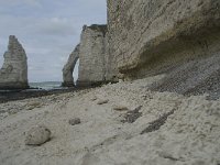 F, Seine-Maritime, Etretat, Porte d Aval 20, Saxifraga-Willem van Kruijsbergen