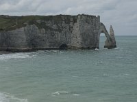 F, Seine-Maritime, Etretat, Porte d Aval 3, Saxifraga-Willem van Kruijsbergen