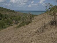 F, Seine-Maritime, Etretat, Valleuse d Antifer 22, Saxifraga-Willem van Kruijsbergen