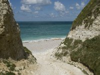 F, Seine-Maritime, Etretat, Valleuse d Antifer 32, Saxifraga-Willem van Kruijsbergen