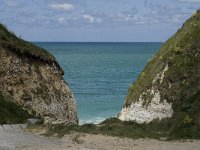 F, Seine-Maritime, Etretat, Valleuse d Antifer 33, Saxifraga-Willem van Kruijsbergen