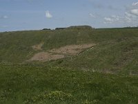 F, Seine-Maritime, Etretat, Valleuse d Antifer 40, Saxifraga-Willem van Kruijsbergen