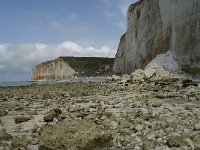 F, Seine-Maritime, Sassetot-le-Mauconduit, Les Petites Dalles 18, Saxifraga-Willem van Kruijsbergen