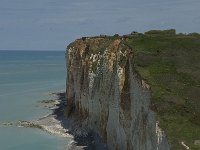 F, Seine-Maritime, Sassetot-le-Mauconduit, Les Petites Dalles 22, Saxifraga-Willem van Kruijsbergen