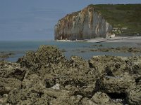 F, Seine-Maritime, Sassetot-le-Mauconduit, Les Petites Dalles 27, Saxifraga-Willem van Kruijsbergen