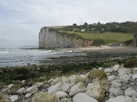 F, Seine-Maritime, Vattetot-sur-Mer, Vaucottes 2, Saxifraga-Willem van Kruijsbergen