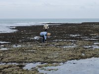 F, Seine-Maritime, Vattetot-sur-Mer, Vaucottes 8, Saxifraga-Willem van Kruijsbergen