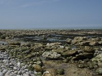 F, Seine-Maritime, Veulettes-sur-Mer 14, Saxifraga-Willem van Kruijsbergen