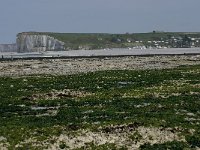 F, Seine-Maritime, Veulettes-sur-Mer 17, Saxifraga-Willem van Kruijsbergen