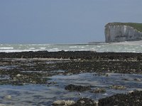 F, Seine-Maritime, Veulettes-sur-Mer 8, Saxifraga-Willem van Kruijsbergen