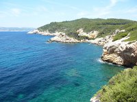 F, Var, Saint-Cyr-sur-Mer, Sentier Littoral 2, Saxifraga-Tom Heijnen