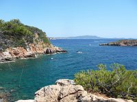 F, Var, Saint-Cyr-sur-Mer, Sentier Littoral 4, Saxifraga-Tom Heijnen