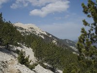 F, Vaucluse, Bedoin, Mont Ventoux 18, Saxifraga-Willem van Kruijsbergen