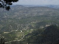 F, Vaucluse, Bedoin, Mont Ventoux 41, Saxifraga-Willem van Kruijsbergen