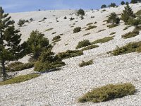 F, Vaucluse, Bedoin, Vallon de la Grave 1, Saxifraga-Willem van Kruijsbergen