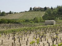 F, Vaucluse, Bedoin, les Baux 6, Saxifraga-Willem van Kruijsbergen