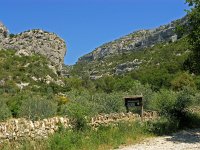 F, Vaucluse, Fontaine-de-Vaucluse 13, Saxifraga-Hans Dekker