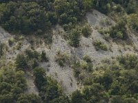 F, Vaucluse, Sault, Gorges de la Nesque 10, Saxifraga-Willem van Kruijsbergen