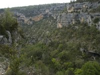 F, Vaucluse, Sault, Gorges de la Nesque 17, Saxifraga-Willem van Kruijsbergen