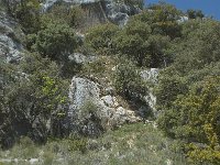 F, Vaucluse, Sault, Gorges de la Nesque 2, Saxifraga-Willem van Kruijsbergen