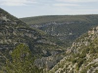 F, Vaucluse, Sault, Gorges de la Nesque 9, Saxifraga-Willem van Kruijsbergen