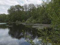 F, Yonne, Quarre-les Tombes, Etang du Grottier Blanc 11, Saxifraga-Willem van Kruijsbergen