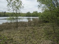 F, Yonne, Quarre-les Tombes, Etang du Grottier Blanc 5, Saxifraga-Willem van Kruijsbergen