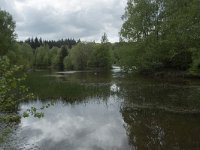 F, Yonne, Quarre-les Tombes, Etang du Grottier Blanc 8, Saxifraga-Willem van Kruijsbergen