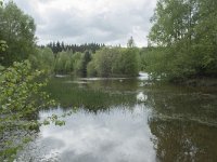 F, Yonne, Quarre-les Tombes, Etang du Grottier Blanc 9, Saxifraga-Willem van Kruijsbergen