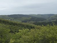 F, Yonne, Quarre-les Tombes, Rocher de la Perouse 1, Saxifraga-Willem van Kruijsbergen