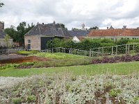 NL, Drenthe, Assen, Drents Museum 2, Saxifraga-Tom Heijnen