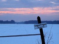 NL, Drenthe, Borger-Odoorn, Borger 4, Saxifraga-Hans Dekker