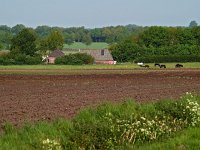 NL, Drenthe, Borger-Odoorn, Voorste Diep 3, Saxifraga-Hans Dekker