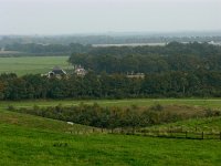 NL, Drenthe, Midden-Drenthe, Drijber 3, Saxifraga-Hans Dekker