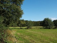 NL, Drenthe, Midden-Drenthe, Elperstroom 1, Saxifraga-Hans Dekker