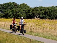 NL, Drenthe, Midden-Drenthe, Mantingerveld 23, Saxifraga-Hans Dekker