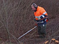 NL, Drenthe, Midden-Drenthe, Mantingerveld 28, Saxifraga-Hans Dekker