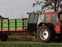 NL, Drenthe, Midden-Drenthe, Nieuw-Balinge 2, Saxifraga-Hans Dekker