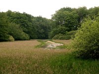 NL, Drenthe, Midden-Drenthe, Oosterholten 1, Saxifraga-Hans Dekker