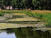 NL, Drenthe, Midden-Drenthe, Oranjekanaal Hijken 1, Saxifraga-Hans Dekker