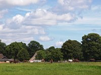 NL, Drenthe, Midden-Drenthe, Orvelte 29, Saxifraga-Hans Dekker